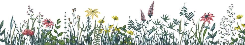 The Wedding Website of Ashley Velasquez-Perez and Moises Castro Jr