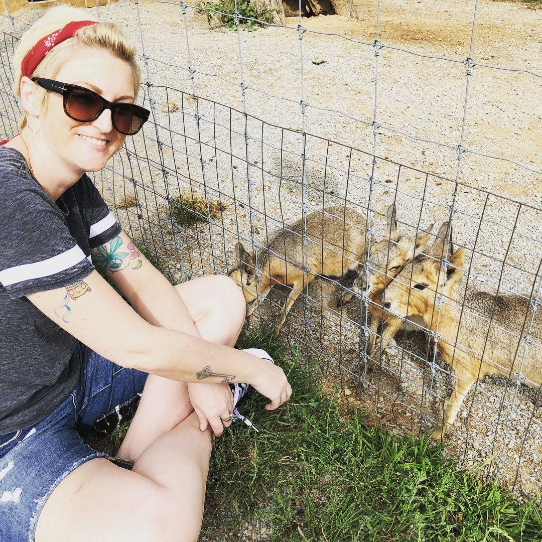 Like, its our favorite thing to do is go pet animals.