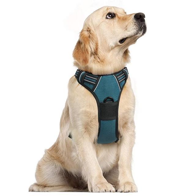 rabbitgoo Dog Harness, No Pull Harness for Large Dogs, Adjustable Dog Vest Harness with Front & Back Leash Clips, Reflective Pet Harness Soft Padded with Easy Control Handle (Teal, Large)