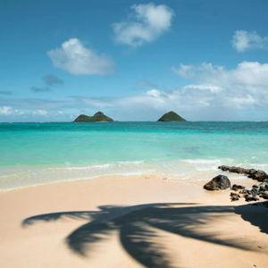 Hawaii Honeymoon Fund