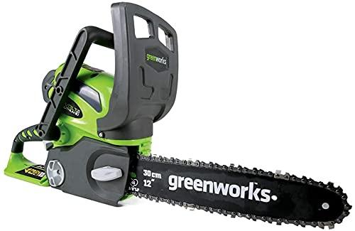 Greenworks 40V 12-Inch Cordless Chainsaw, Tool Only
