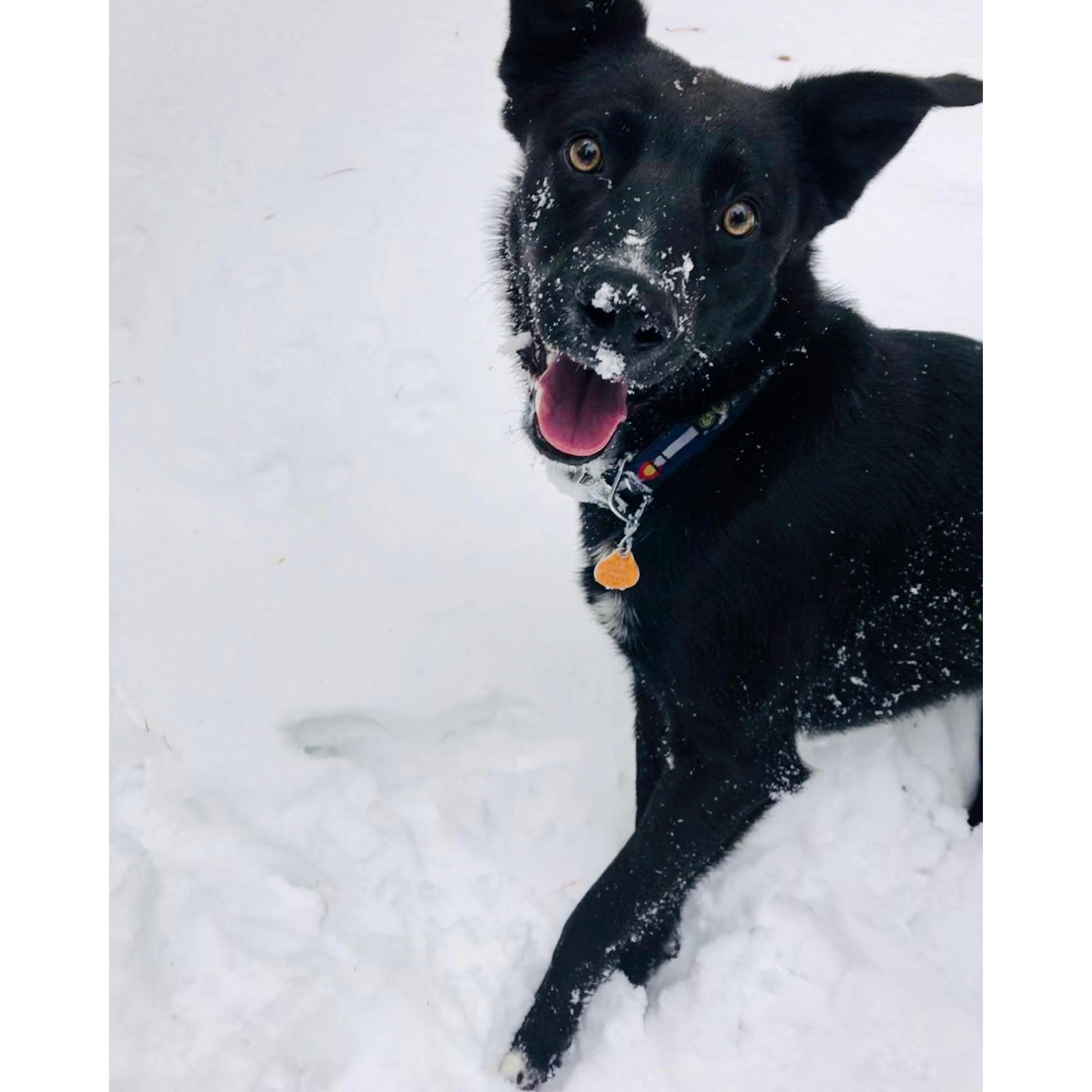 M and B’s sweet boy, Odin