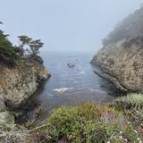 Point Lobos State Natural Reserve