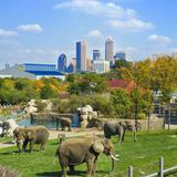 Denver Zoo