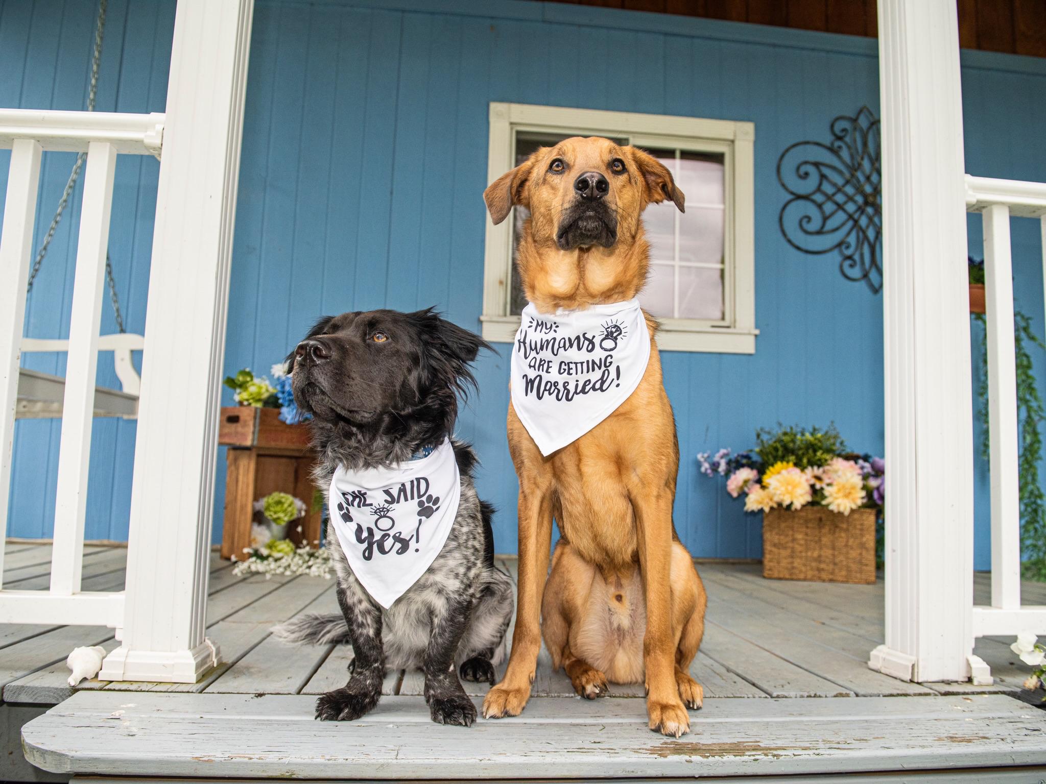 The Wedding Website of Sierra Cross and Kevin Rocque