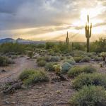 Gateway Loop Trail