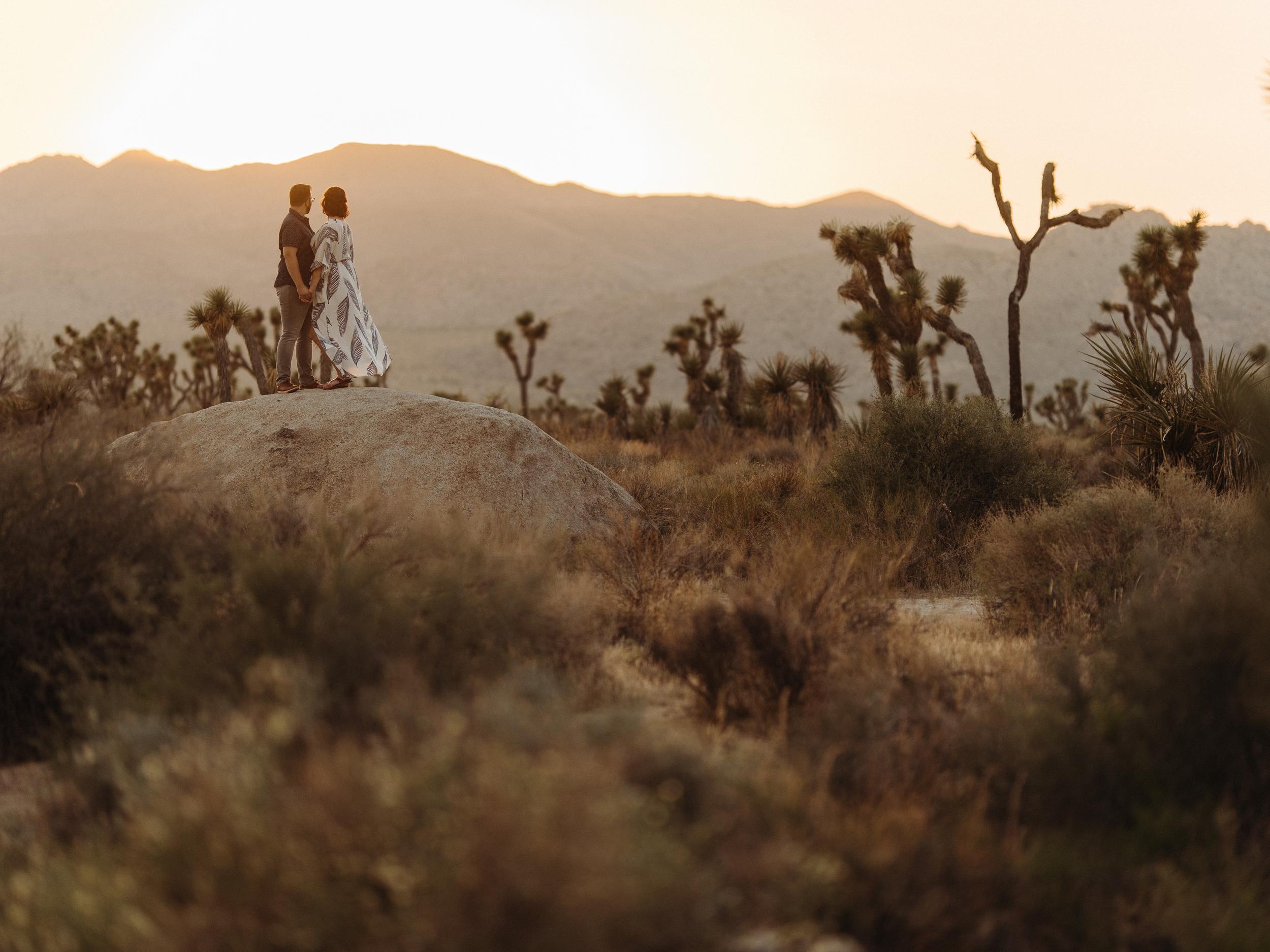 The Wedding Website of Rachael Peters and Samuel Hills