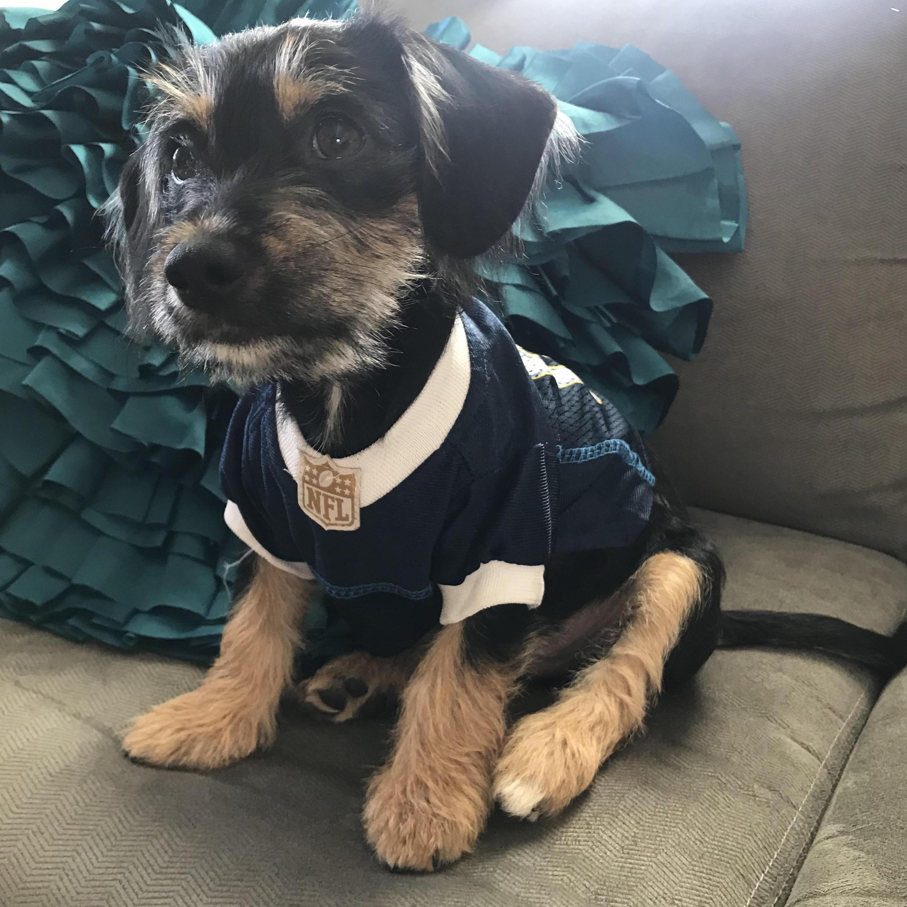 The best looking NFL jersey model.