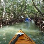 Attractions & Tours