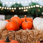 Peltzer Pumpkin Farm