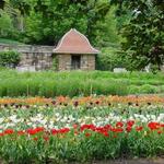 Dumbarton Oaks