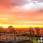 Warwick Farm Brewing