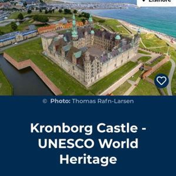 Hamlet Tour at Kronborg Castle in Elsinore (honeymoon)