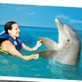 Dolphin Discovery Isla Mujeres