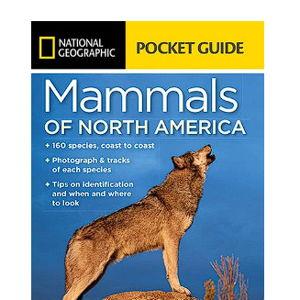 Mammals of North America Field Guide