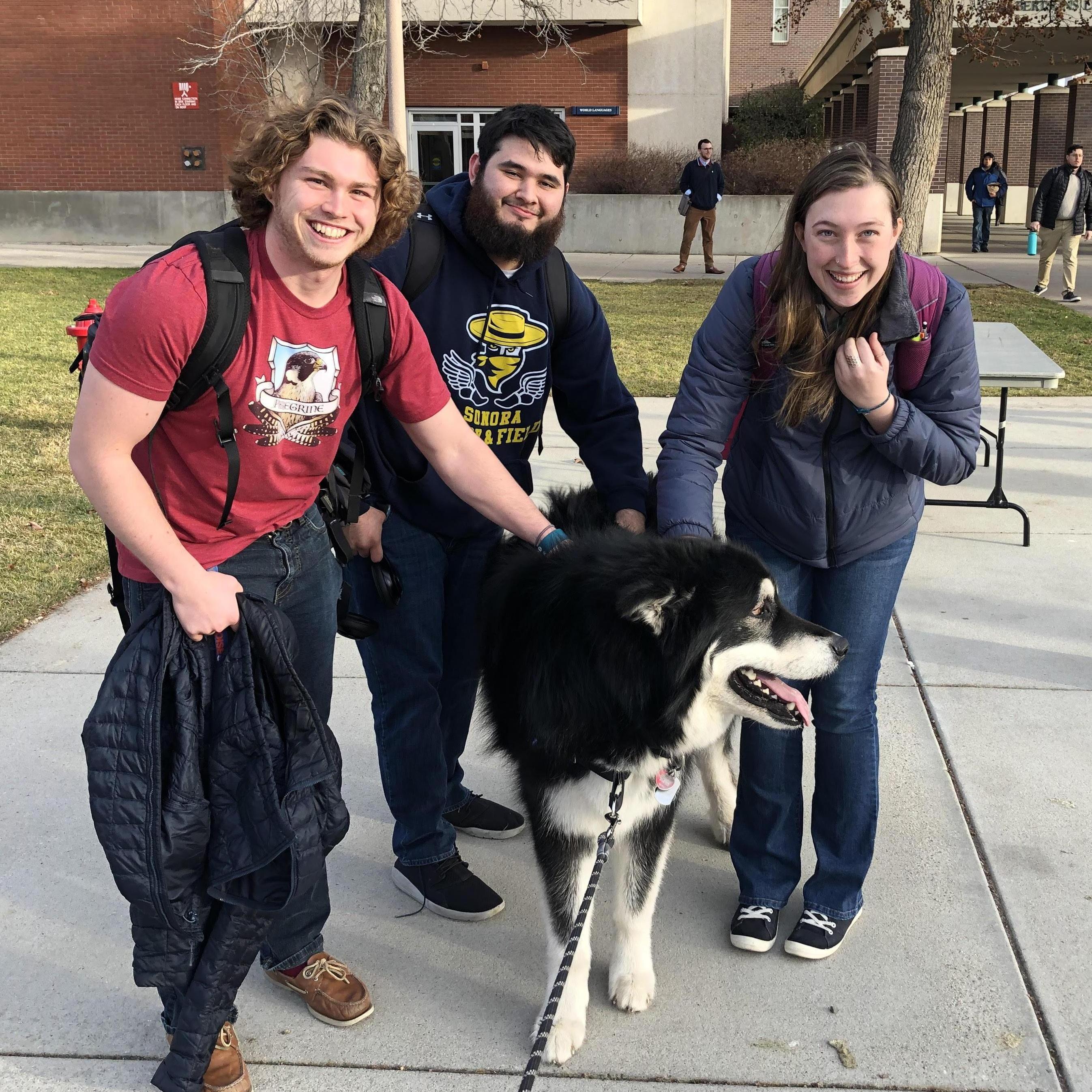 We found a huge dog on campus.