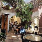 Lavanda Café de Especialidad