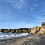 Año Nuevo State Park
