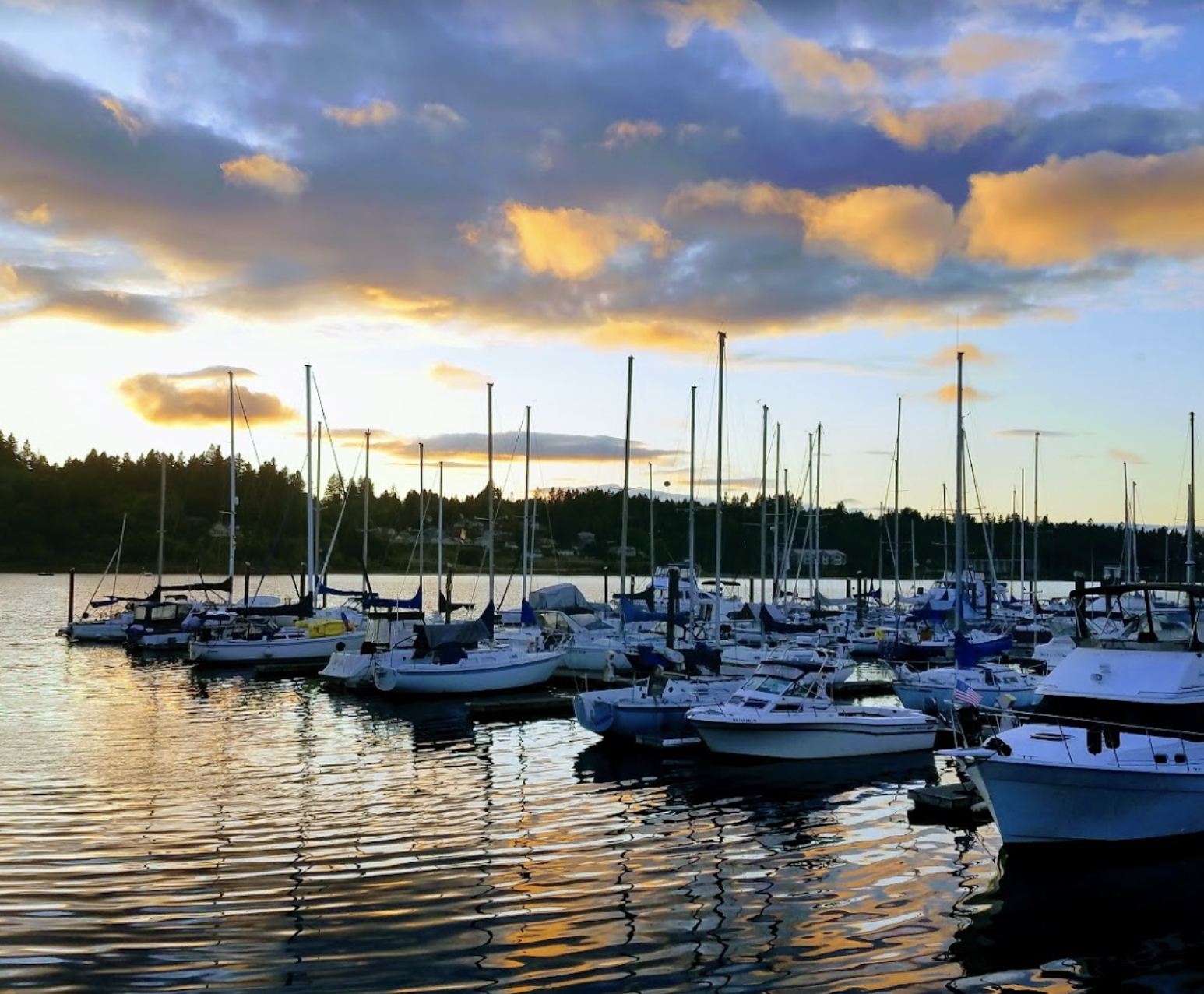 The Wedding Website of Robin Griswold and Patrick Matutina