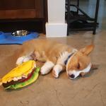 Tacos. Tacos everywhere.