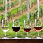 Wine Tasting