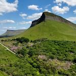 Benbulben Forest Walk