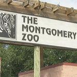 Montgomery Zoo