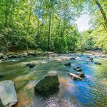 William B. Umstead State Park