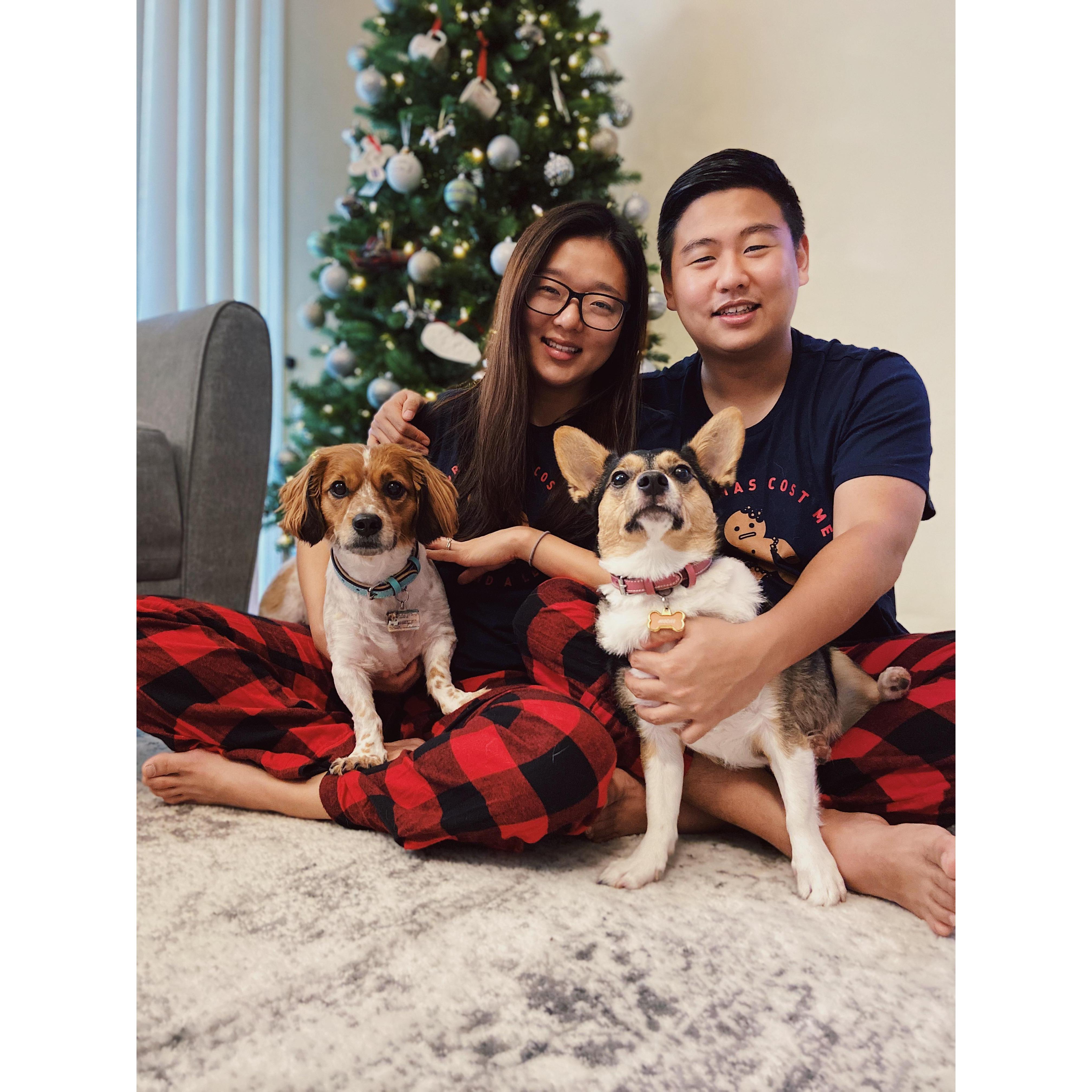 Most wonderful time of the year