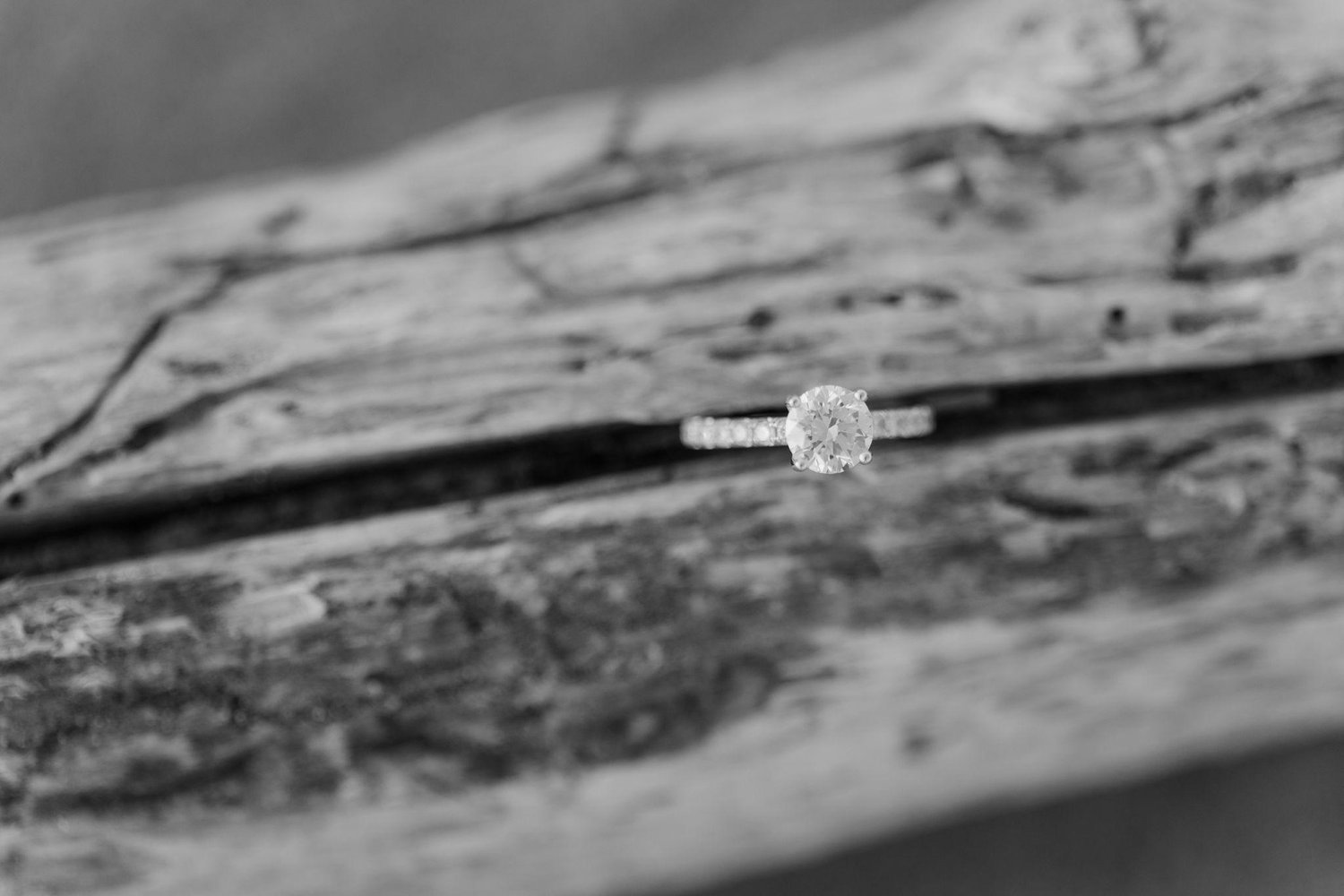 The Wedding Website of Sophie Miller and Tyler Rau