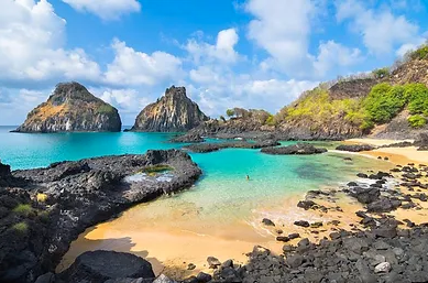 The Wedding Website of Sam Haveson and Felipe Lobel