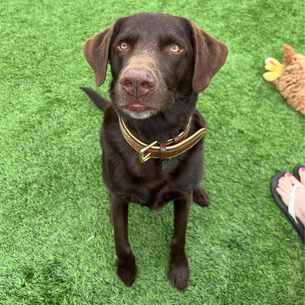 Tucker’s ‘you left me’ emotional recovery treats