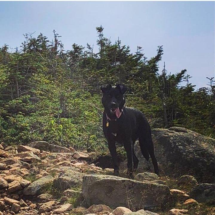 Bailey loves to hike too.