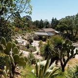UC Santa Cruz Arboretum & Botanic Garden