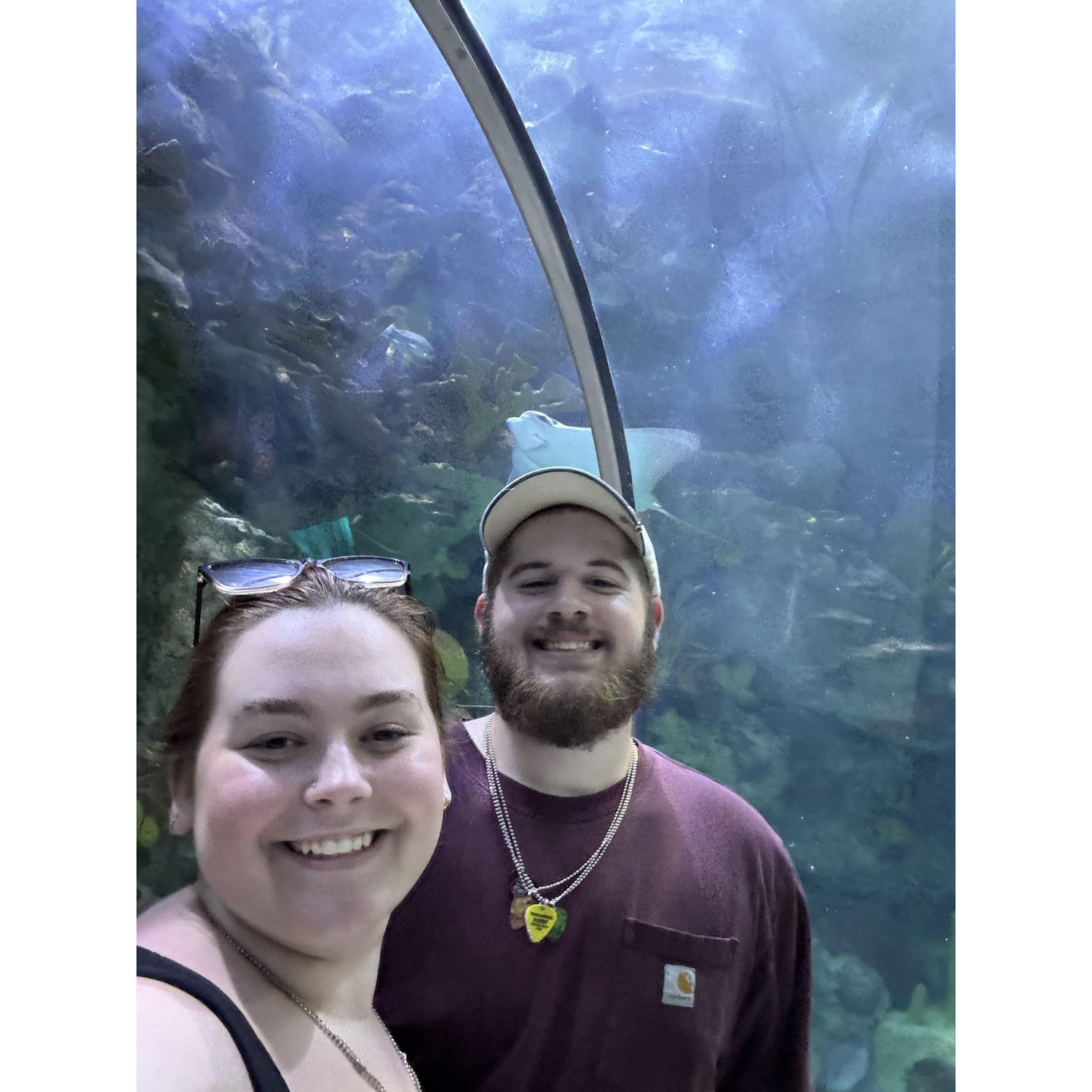 Aquarium fun!