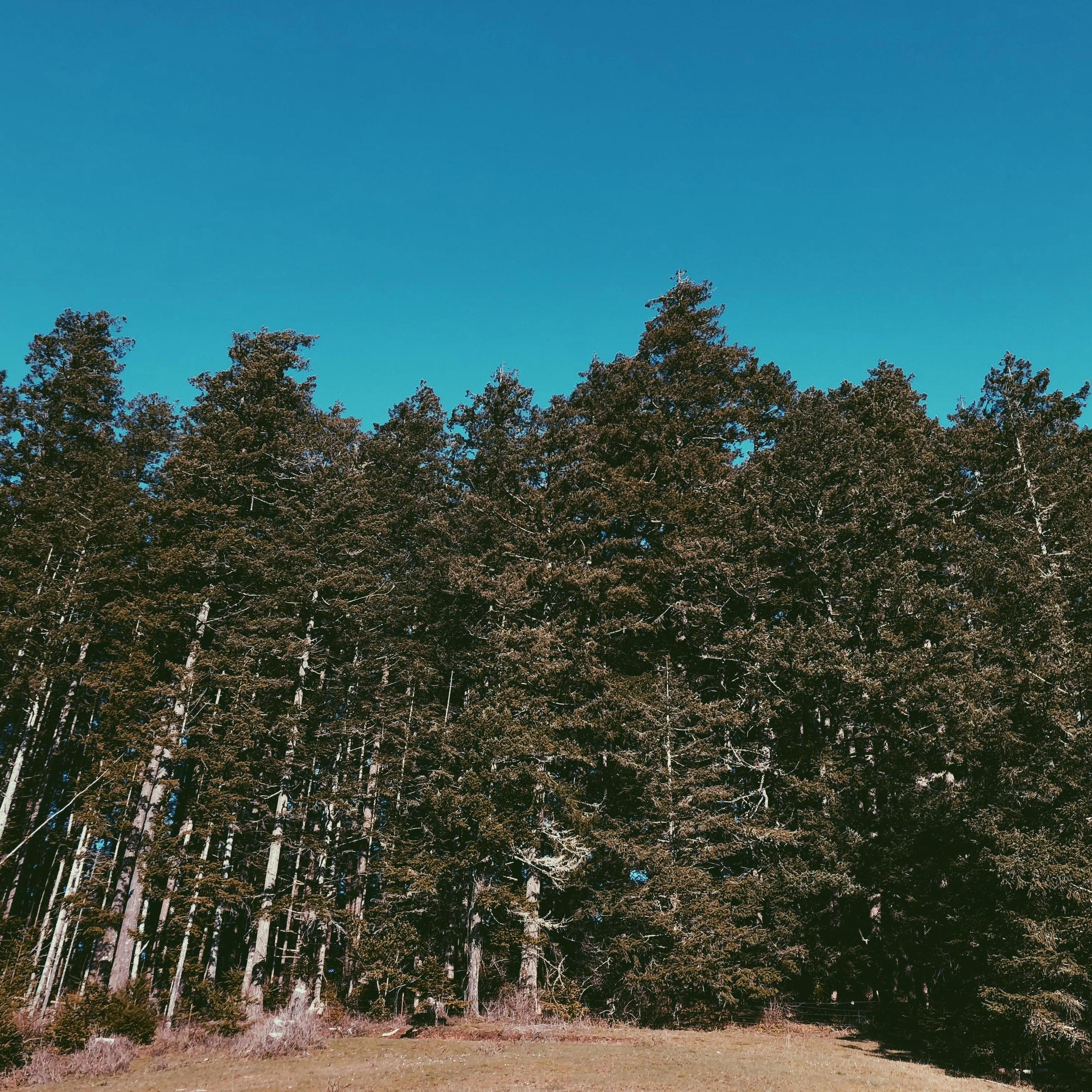 Good ole Oregon.
((Spring Break 2018: Oregon))