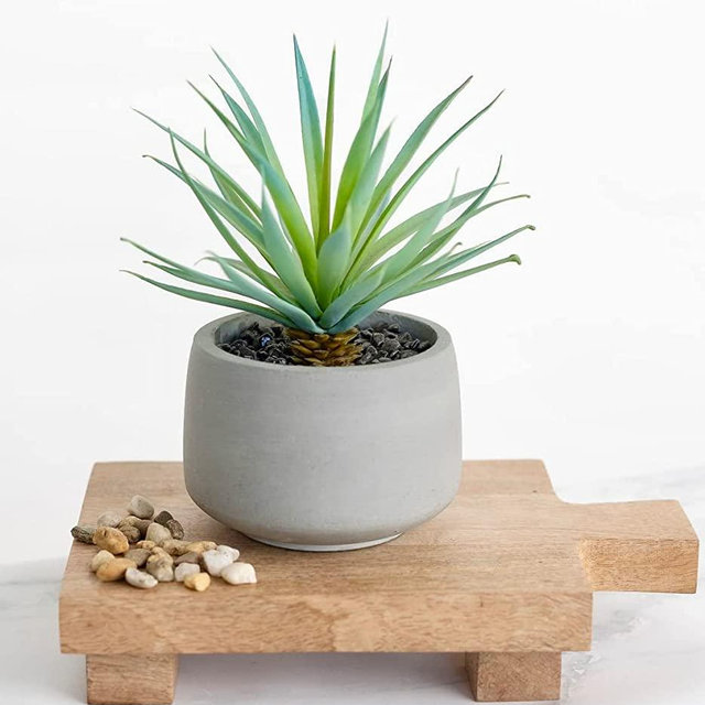 Kurrajong Farmhouse Mango Wood pedestal stand | Mango wood pedestal board | Wood riser board for home decor | display stand for plants