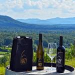 Hazy Mountain Vineyards & Brewery