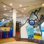 Ecotarium