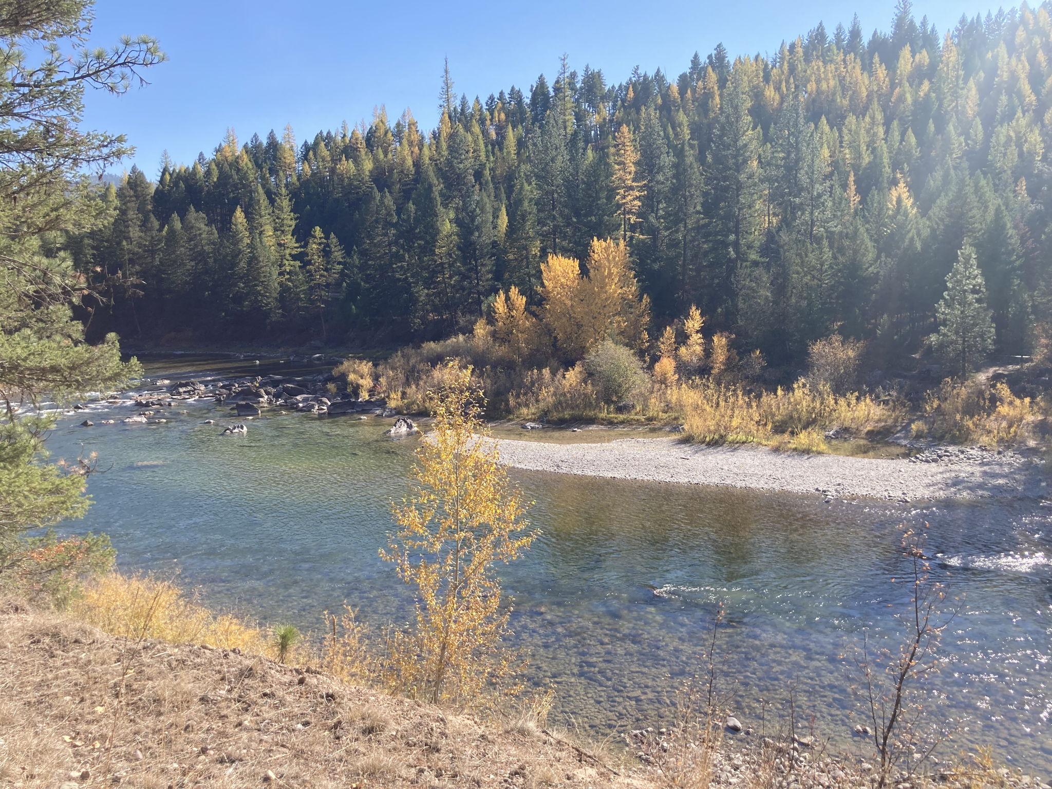 The Wedding Website of Emma Patrash and Brendan Hogg