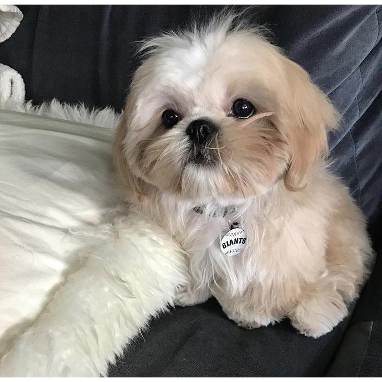 Awwwwwww
