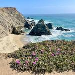 Bodega Bay