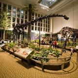 Carnegie Museum of Natural History