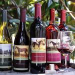 Belle Meade Historic Site & Winery