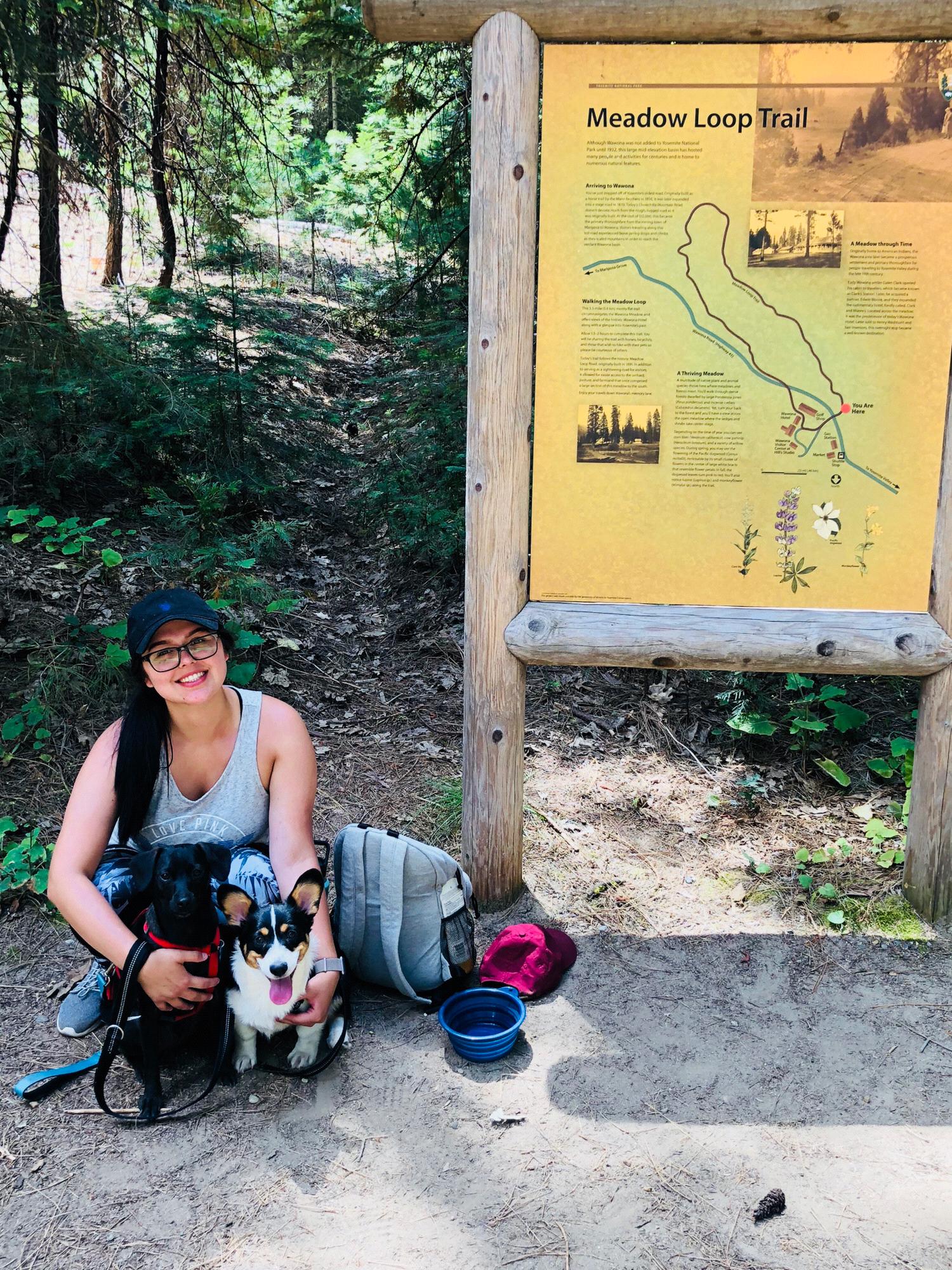Yosemite 
2019