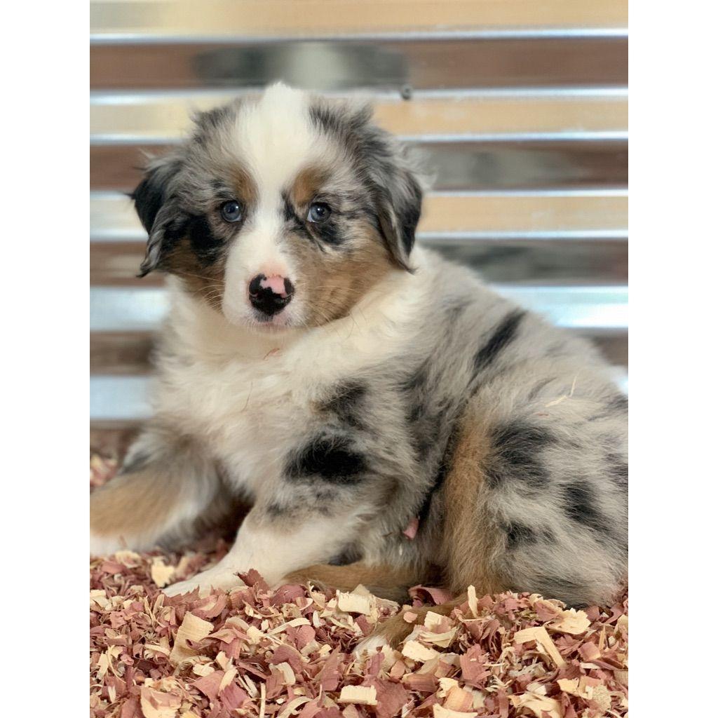 River joins the family!