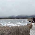 Go for a Drive to Lee Metcalf National Wildlife Refuge