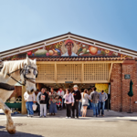 Historic Charleston City Market