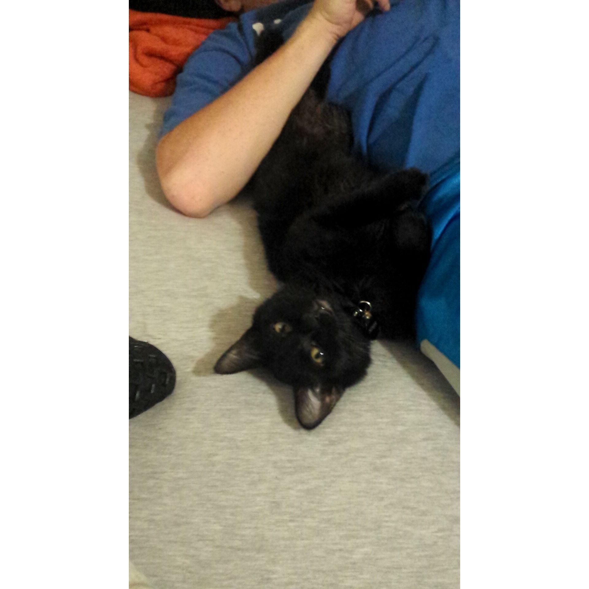 The first addition to our family