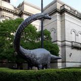 Carnegie Museum of Natural History